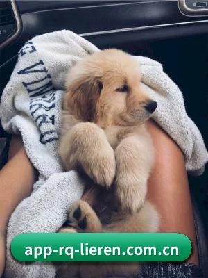 人妻猎人 APP